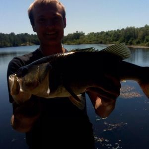 Meet your Posher, Joe